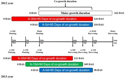 The alteration of interspecific interaction responded to various relative sowing time in wheat/maize intercropping